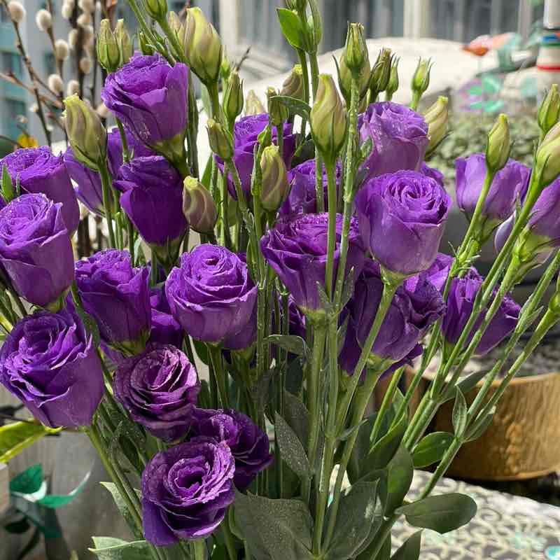 晴朗家園 ꧁ℳ冬兒ℳ꧂ post image