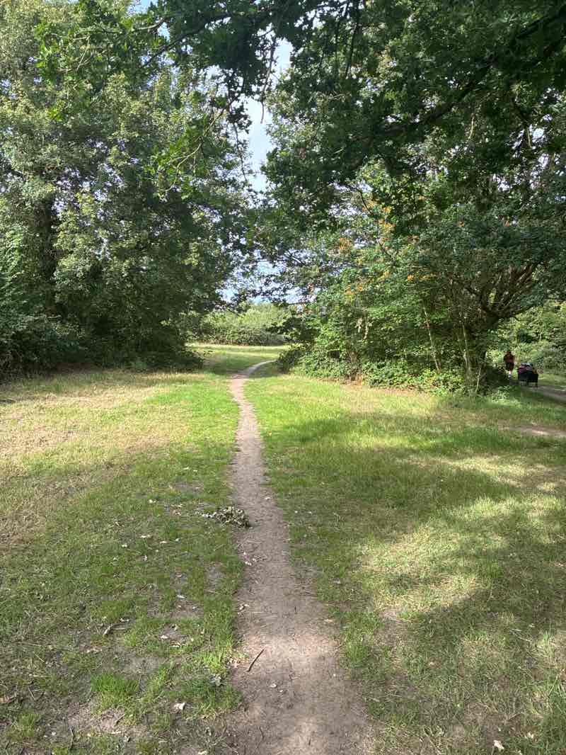 walking near me in Bell Common in summer