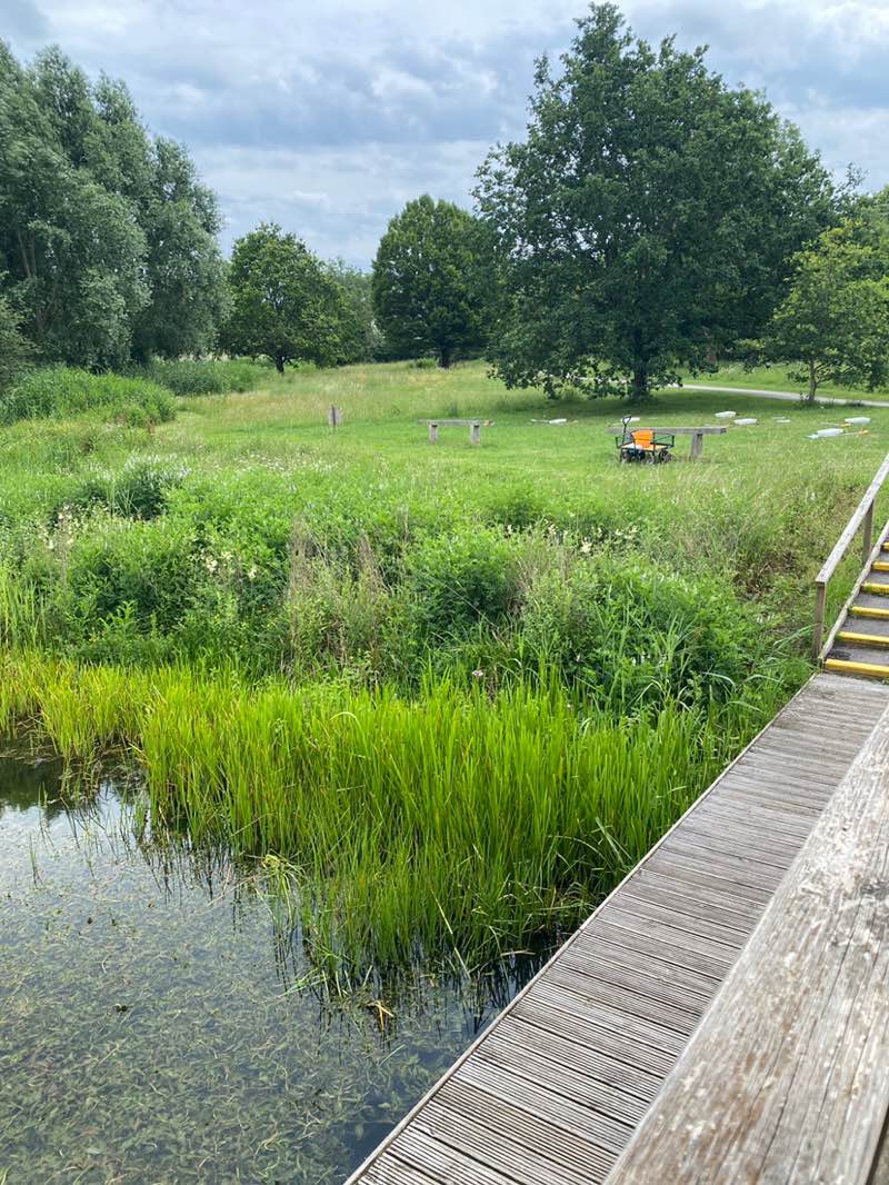 walking near me in Chigwell Meadows in summer