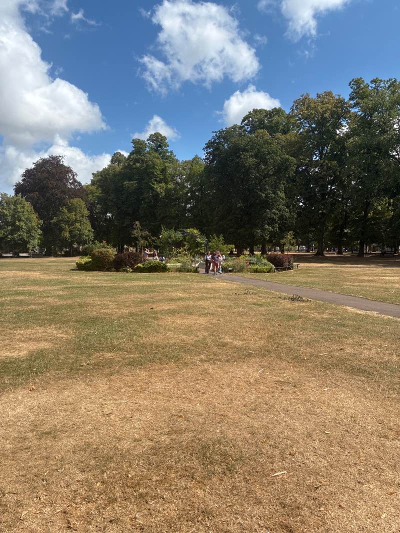 walking near me in Christ's Pieces in summer