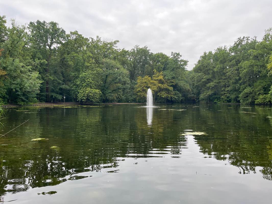 walking near me in Stadtwald in winter