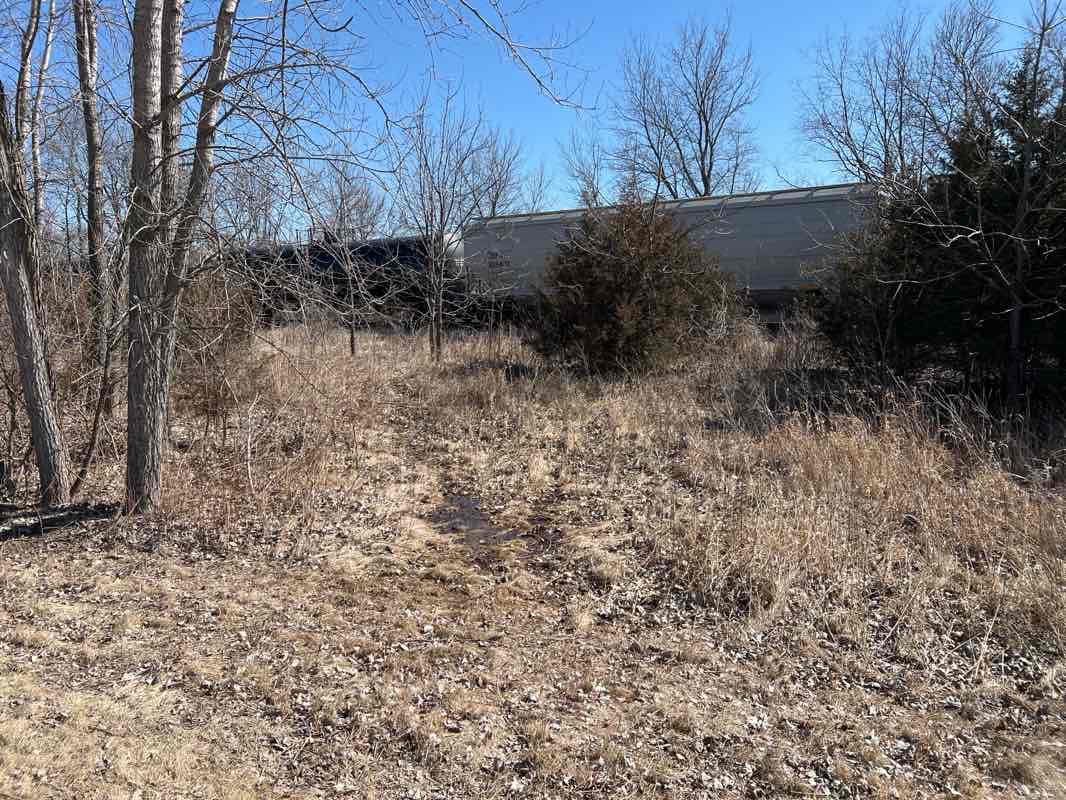walking near me in Bergfeld Recreation Area in spring
