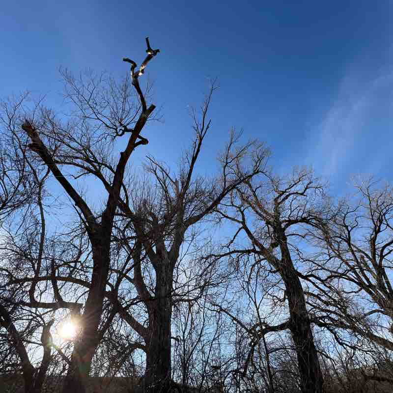 Bob Felderman post 2