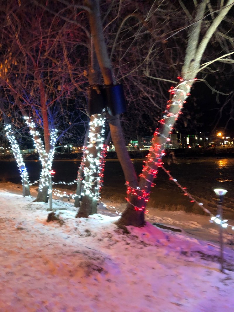 walking near me in Parc Veilleux in winter