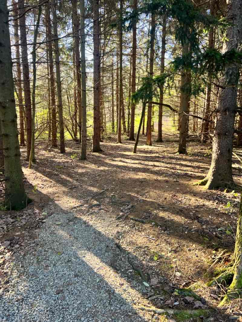 walking near me in Myeerah Nature Preserve in autumn