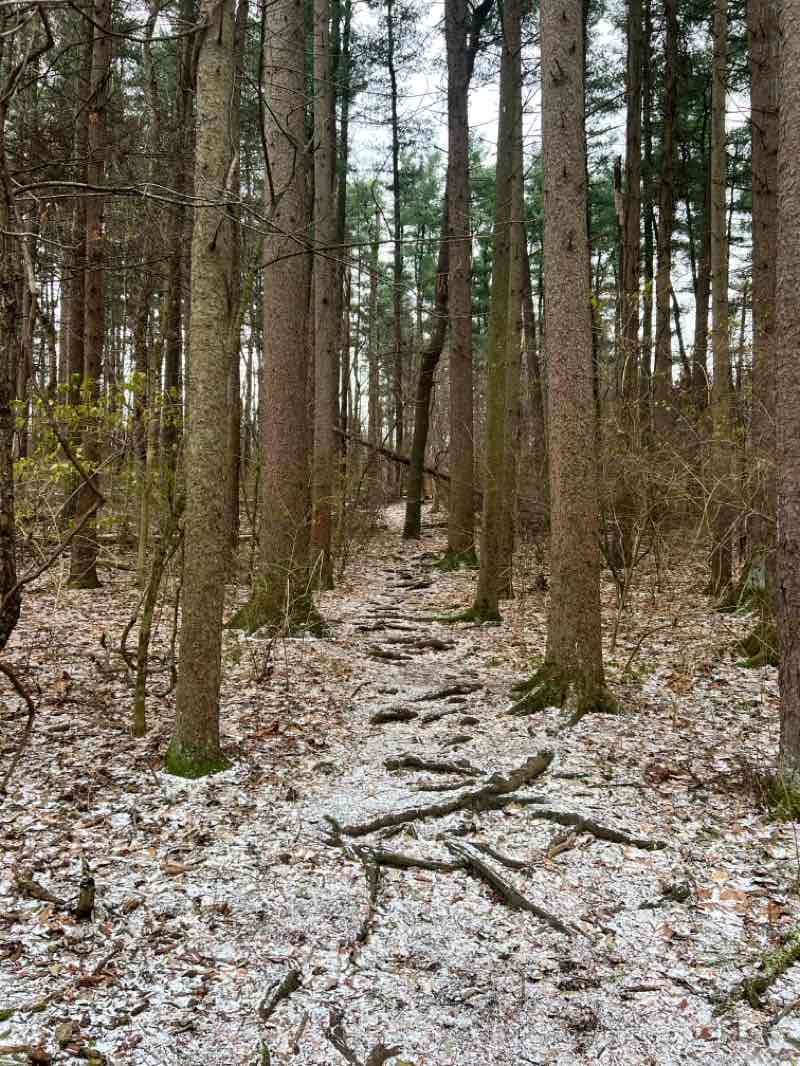 walking near me in John Bryan State Park in winter
