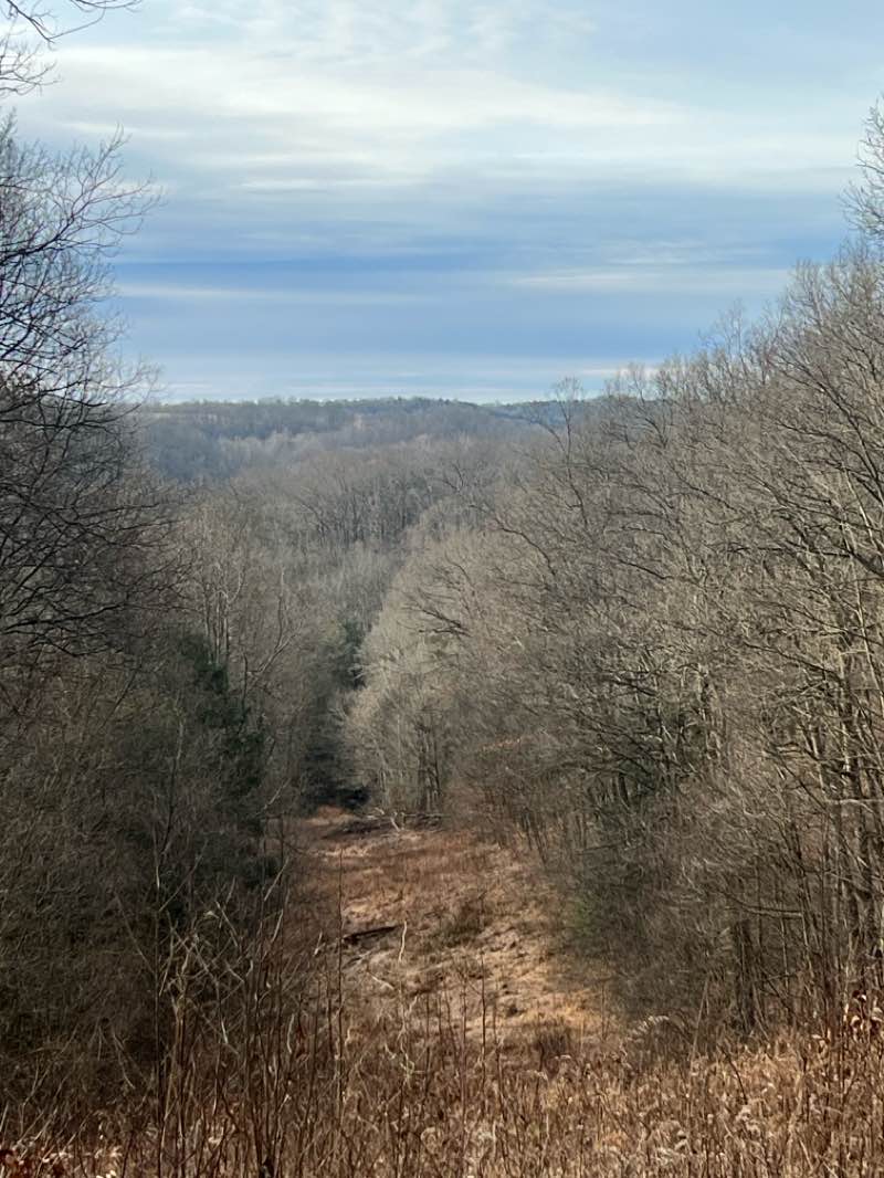 walking near me in Clear Creek Metro Park in winter