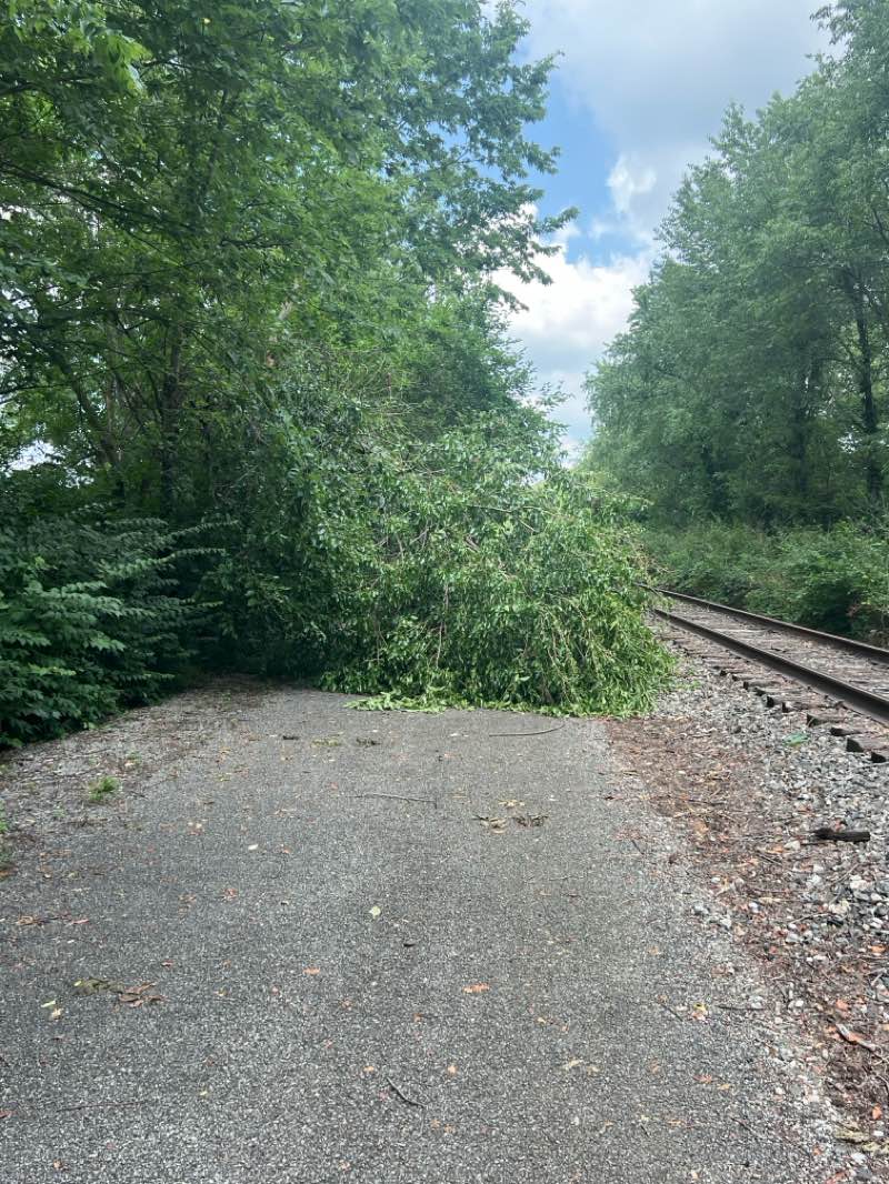 walking near me in Bowlusville Park in summer