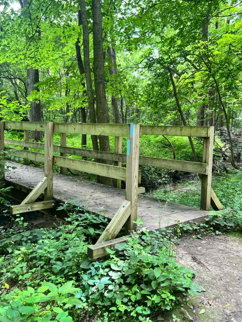 walking near me in Oakes Quarry Park in summer