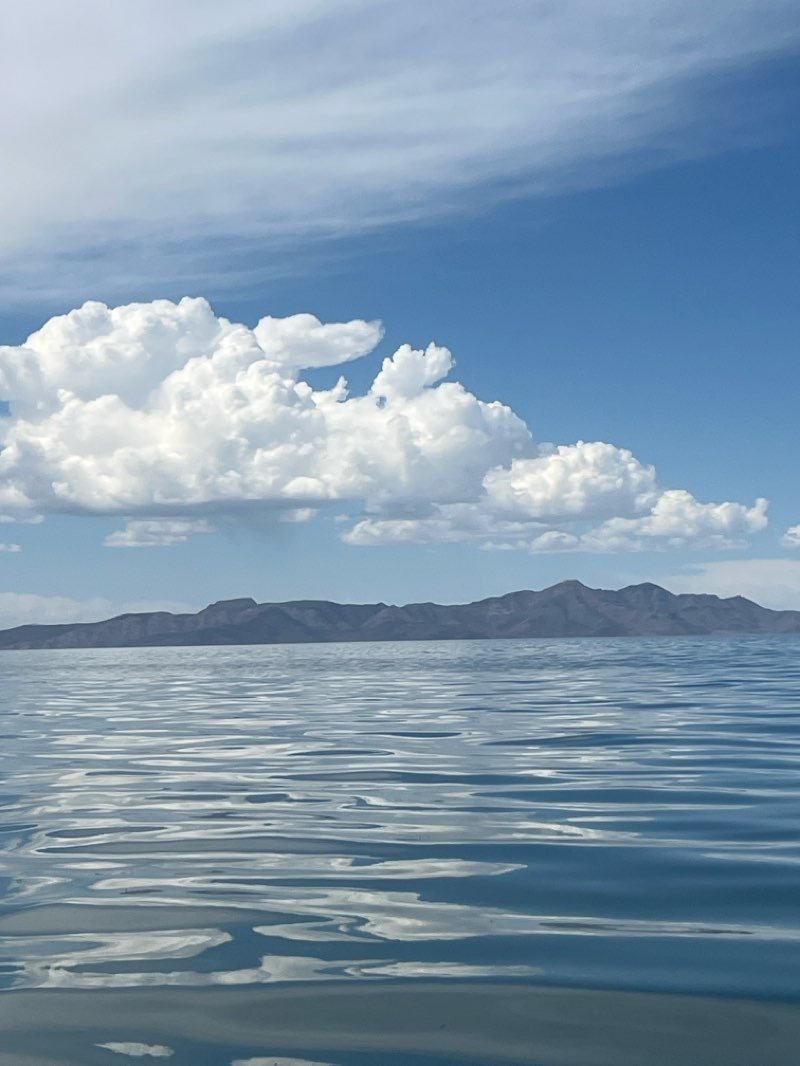 walking near me in Great Salt Lake Marina in spring