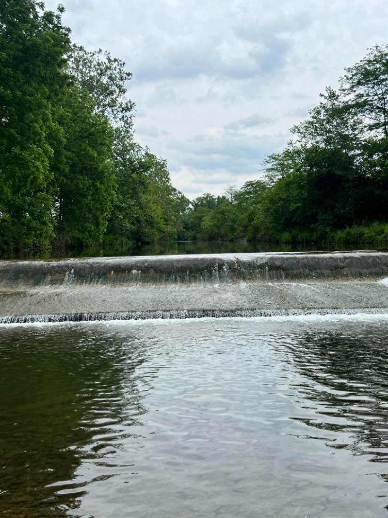 walking near me in Old Reid Park in summer