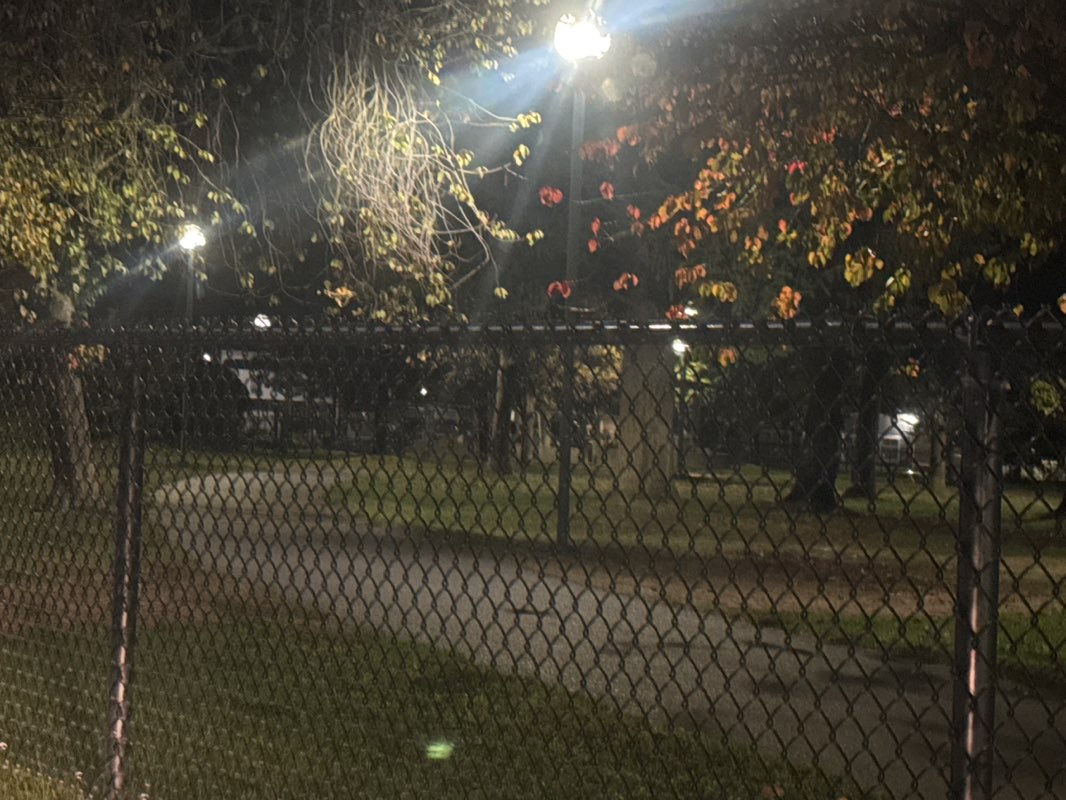 walking near me in Mcdonald Park in autumn