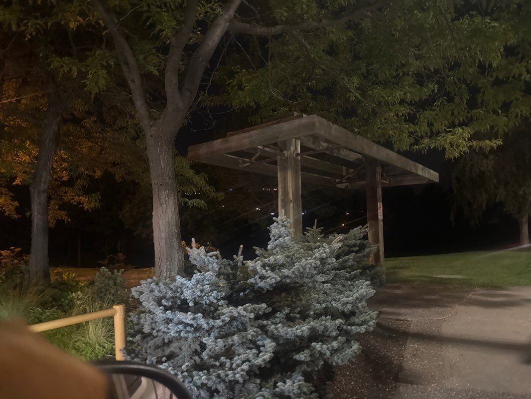 walking near me in Albert McGowan Park in autumn