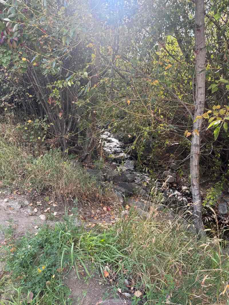 walking near me in Peterson Creek Nature Park in autumn