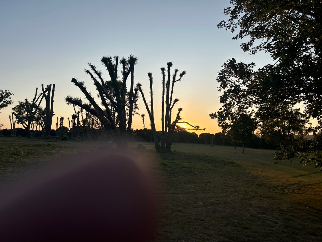 walking near me in Los Altos Park in summer