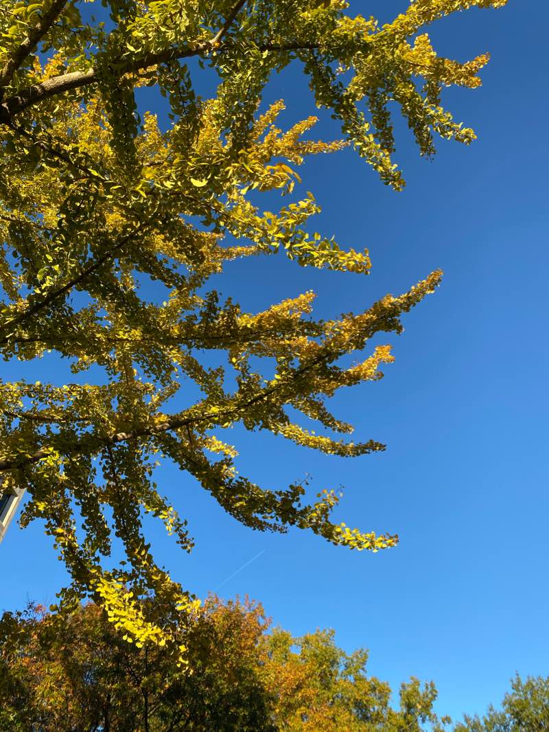 walking near me in The Horseshoe in winter