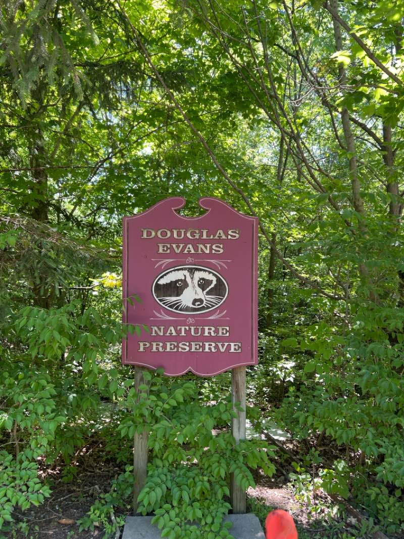 walking near me in Pioneer Park in summer