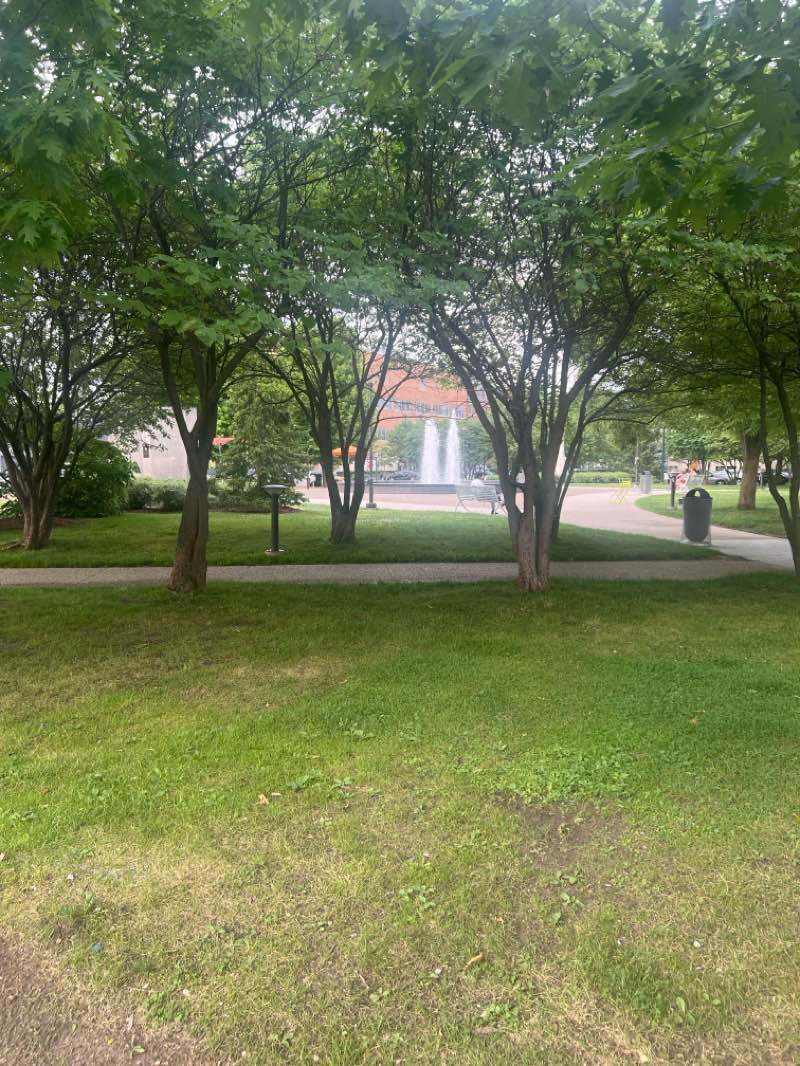 walking near me in Shain Park in summer