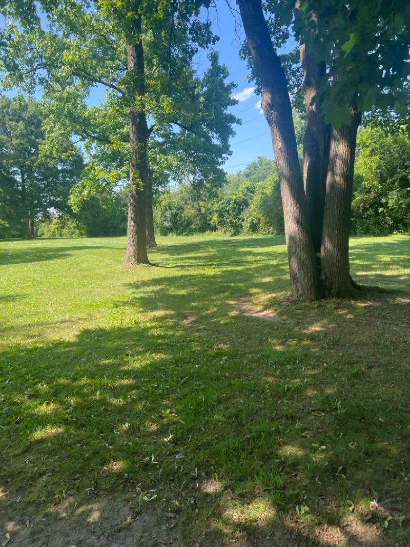 walking near me in Poppleton Park in summer