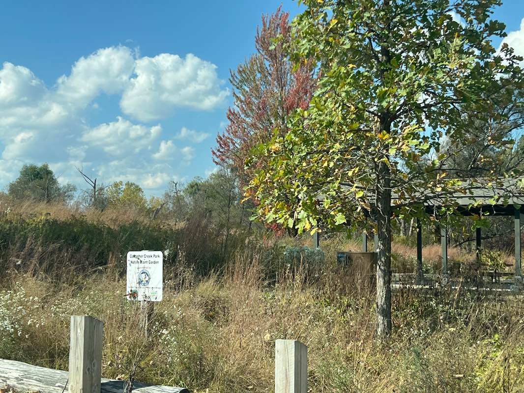 walking near me in Gallagher Creek Park in autumn