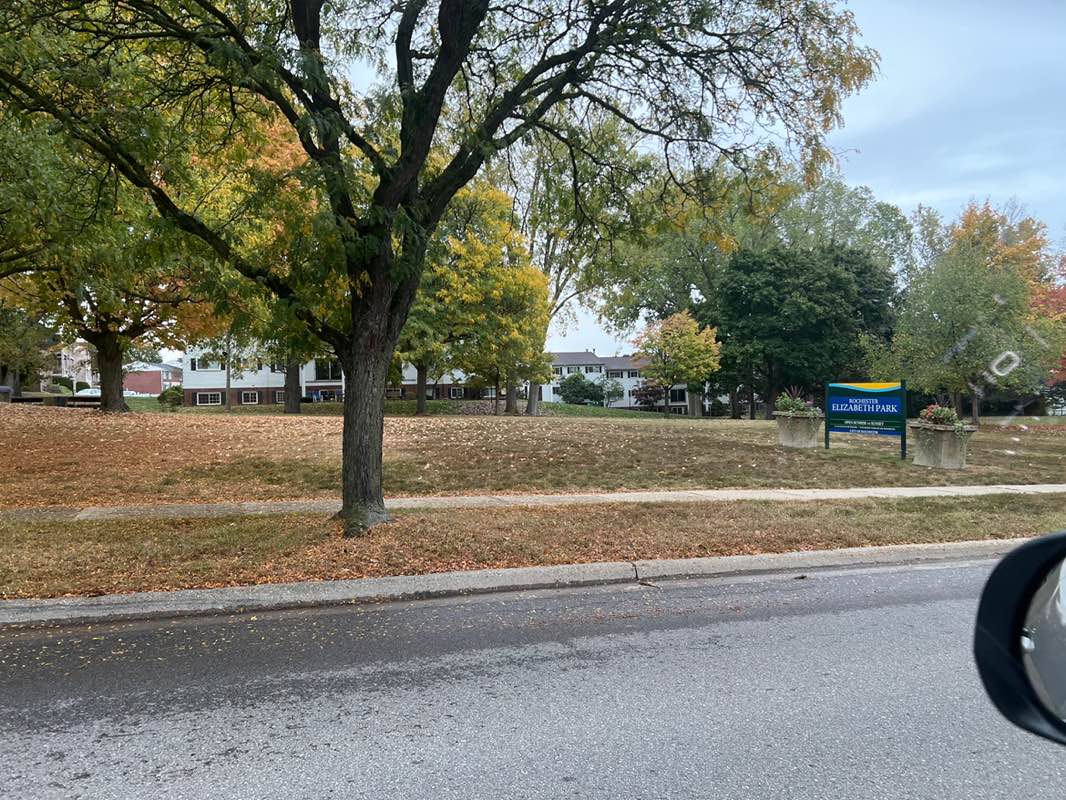 walking near me in Elizabeth Park in autumn