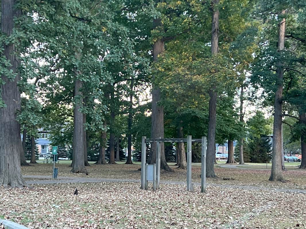 walking near me in Grant Park in autumn
