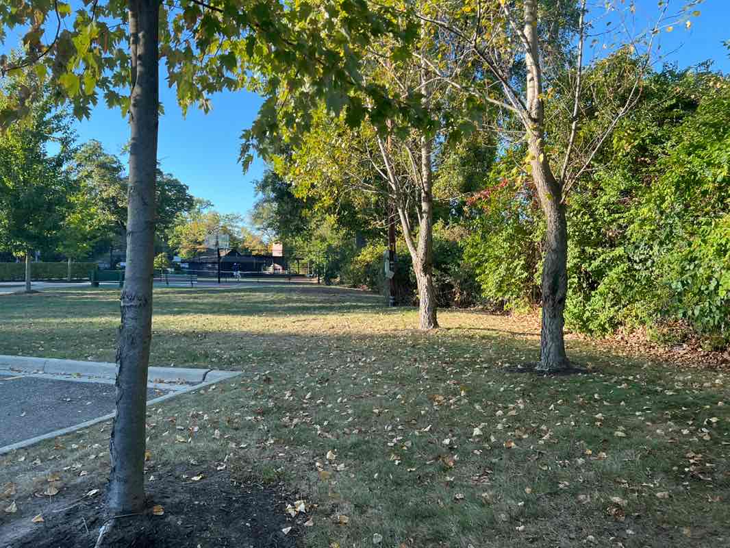 walking near me in Gainsboro Park in autumn