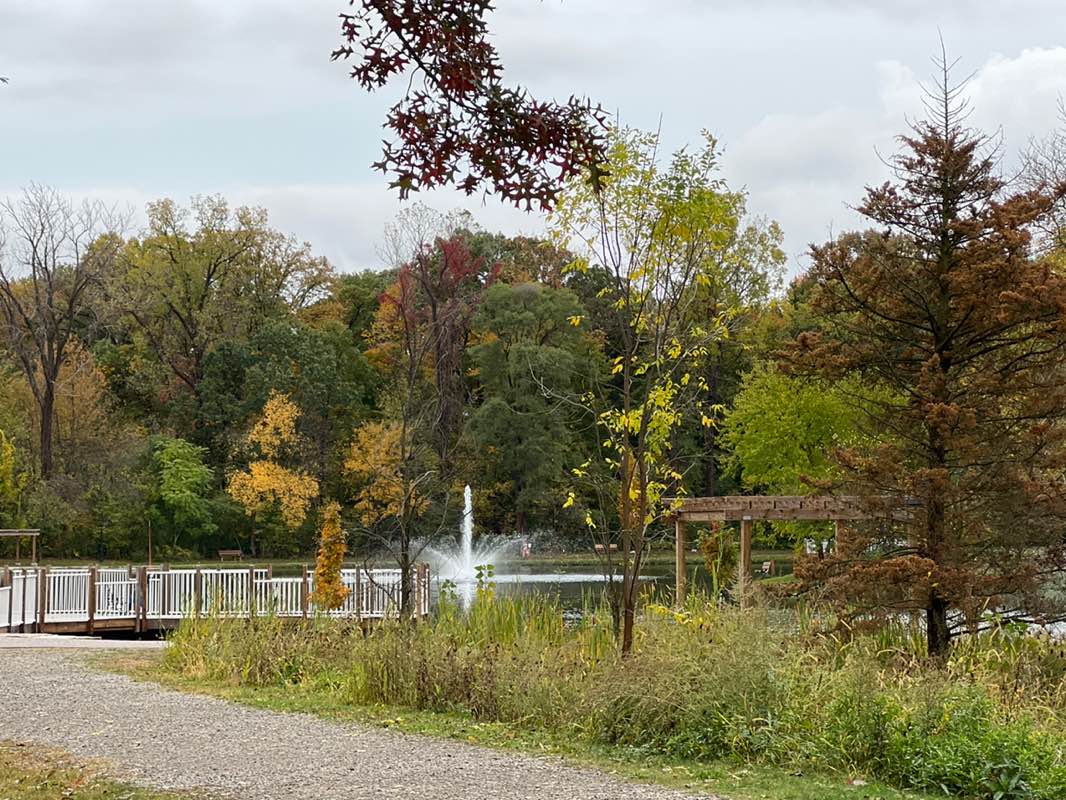 walking near me in Mae Stecker Park in autumn