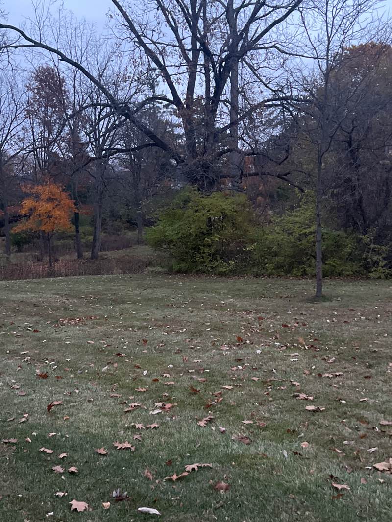 walking near me in Fairway Park in autumn