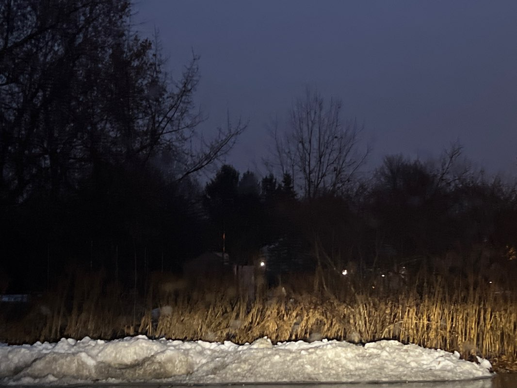 walking near me in Municipal Park in winter