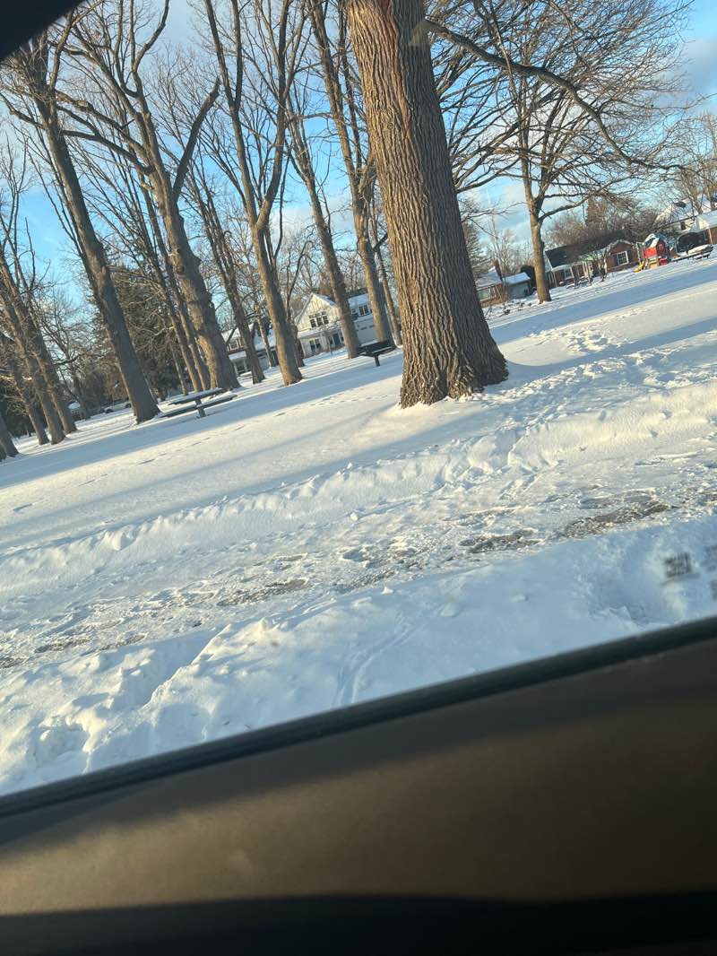 walking near me in Sullivan Park in winter