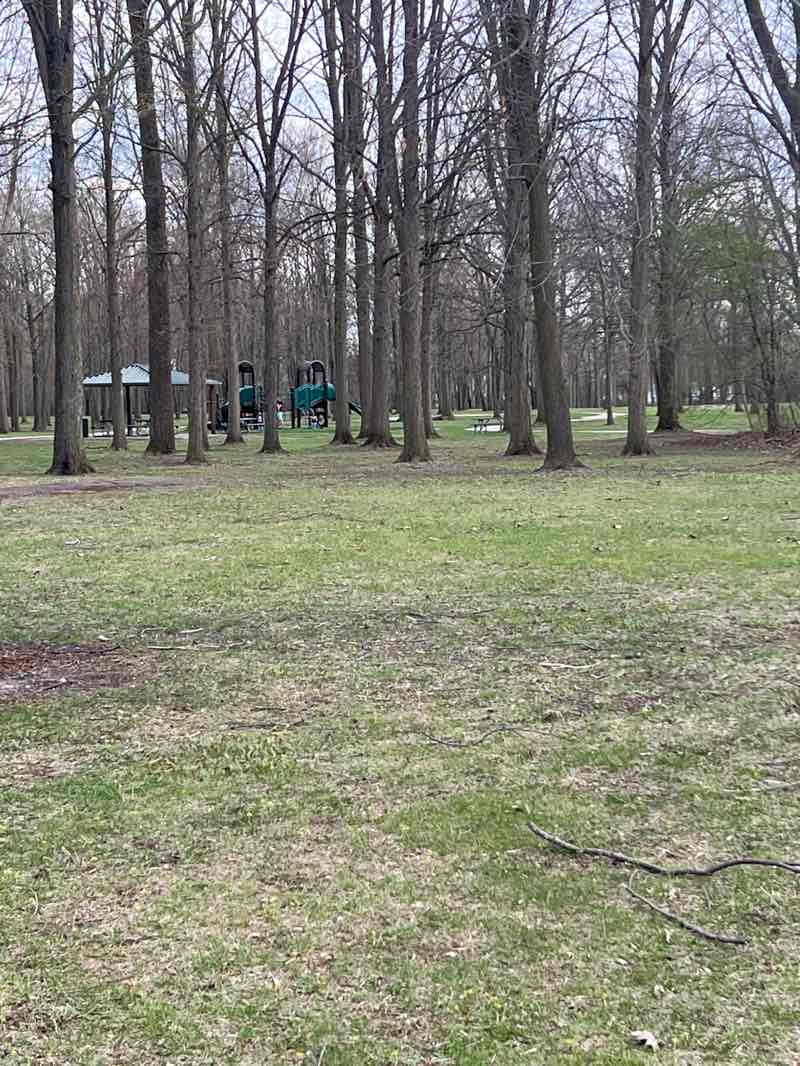 walking near me in Robinwood Park in spring