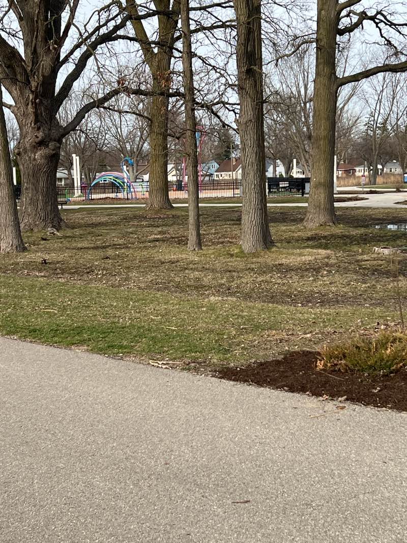 walking near me in Normandy Oaks Park in spring