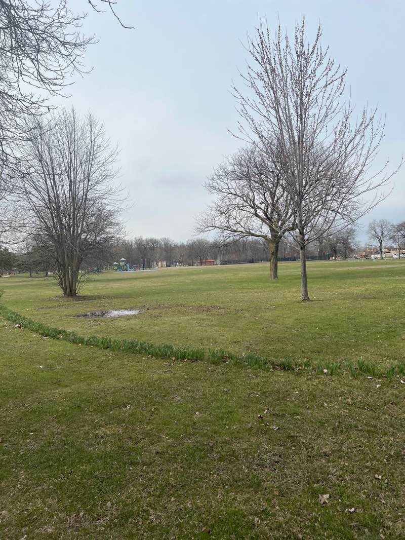 walking near me in Palmer Park in spring