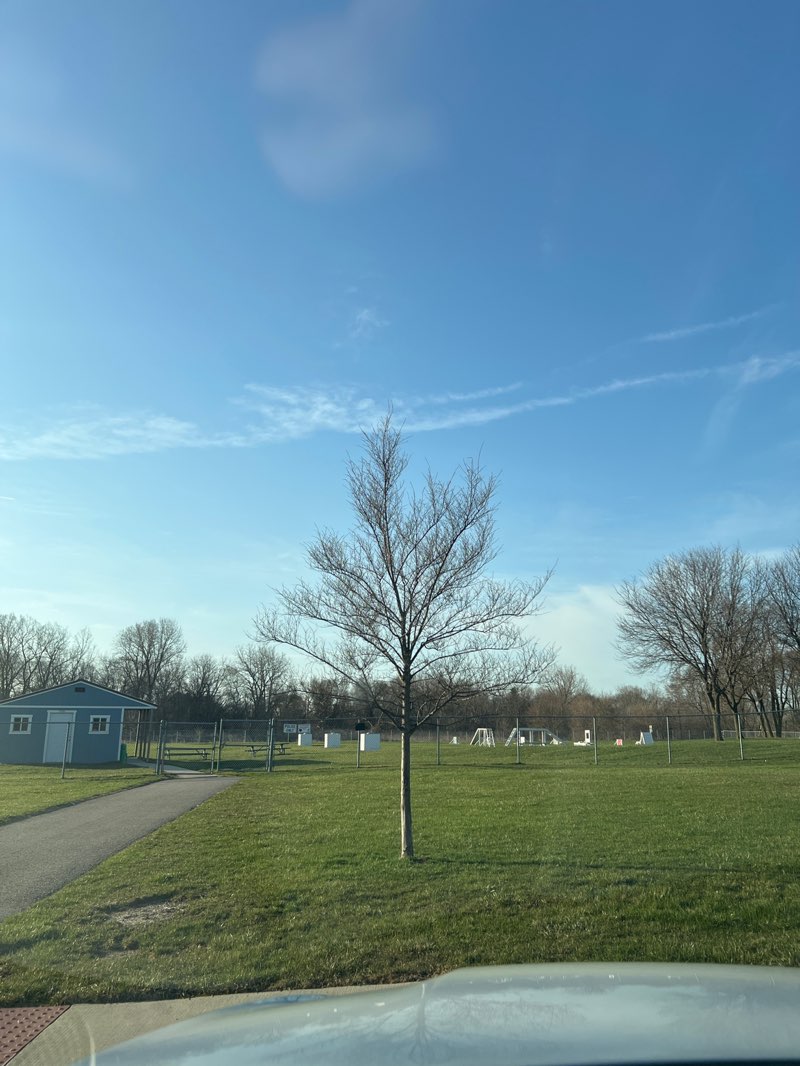 walking near me in Baumgartner Park in spring