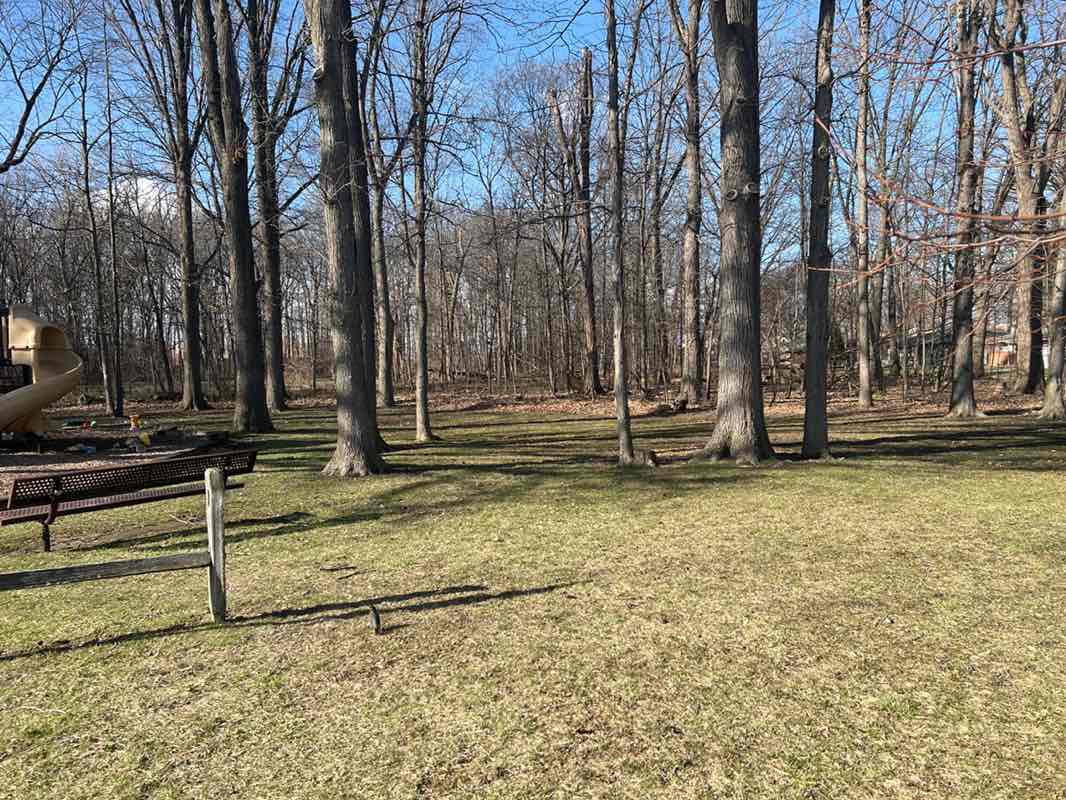 walking near me in Cummingston Park in spring