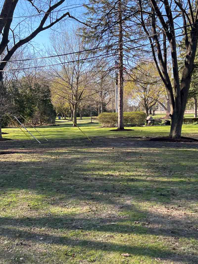 walking near me in Memorial Park in spring