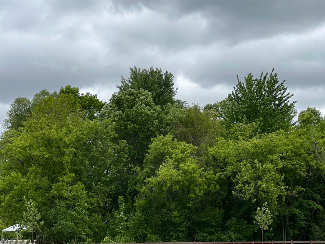 walking near me in Thelma G. Spencer Park in spring