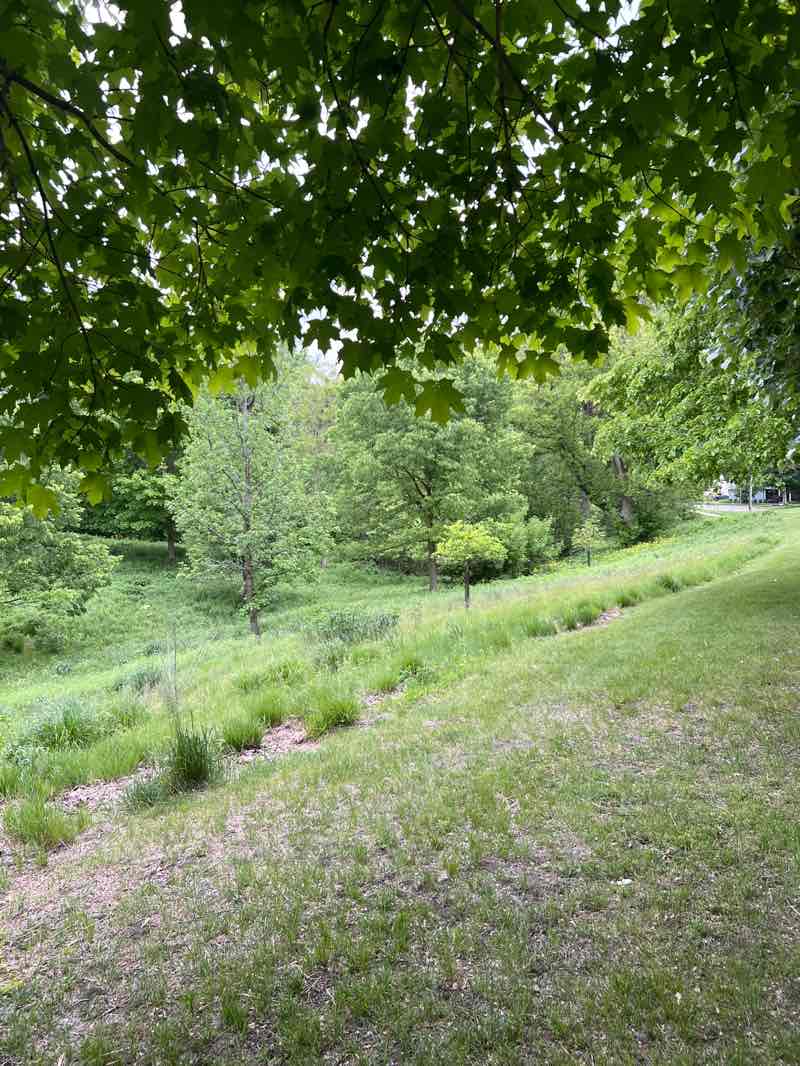 walking near me in Howlett Park in spring