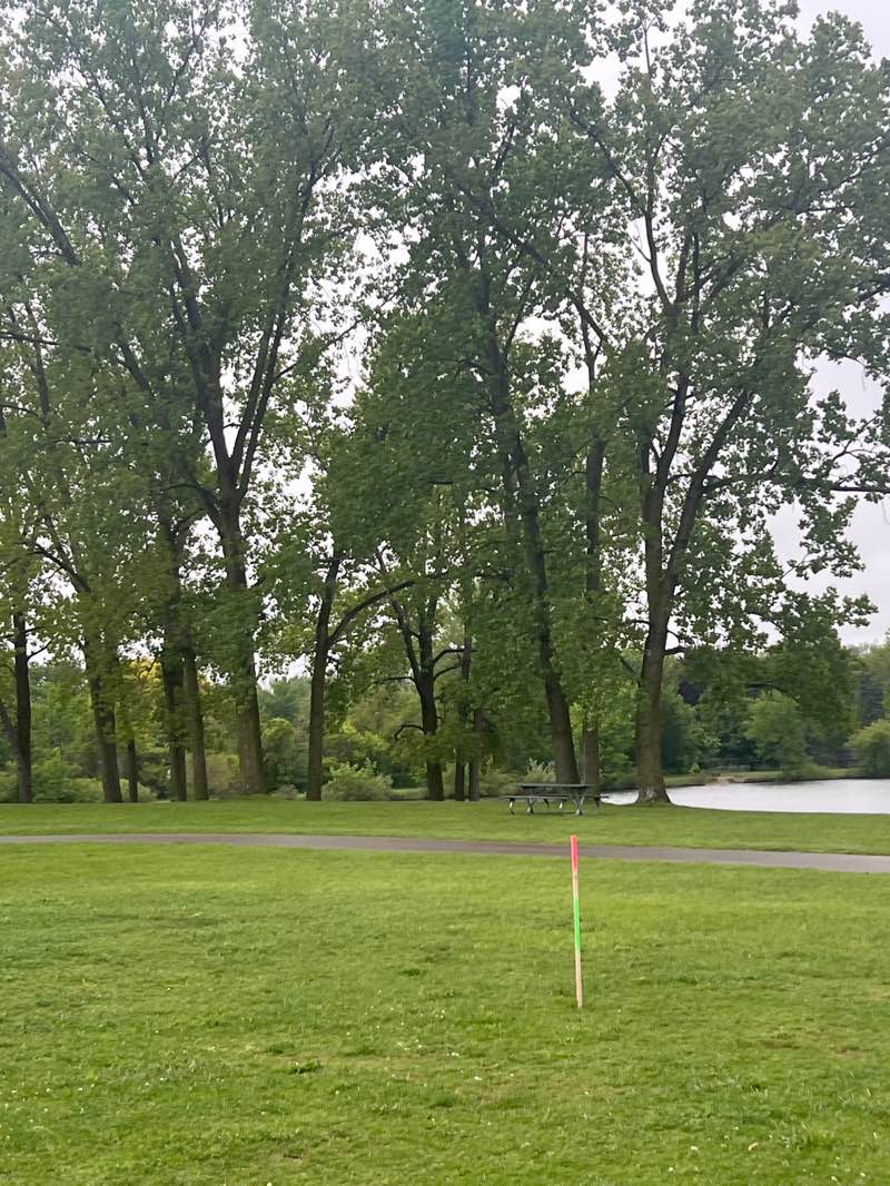 walking near me in Sylvan Glen Lake Park in spring