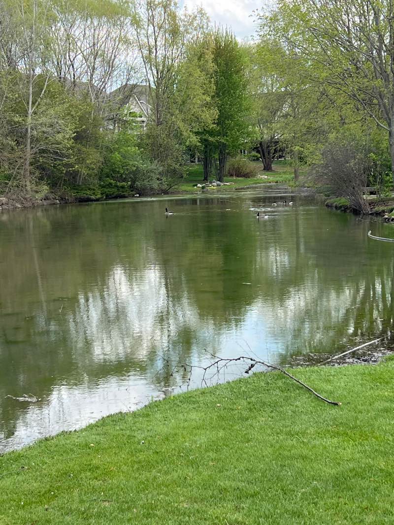 walking near me in George George Memorial Park in spring