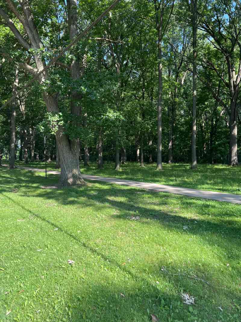 walking near me in Quickstad Park in summer