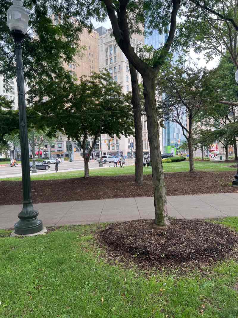 walking near me in Grand Circus Park in summer
