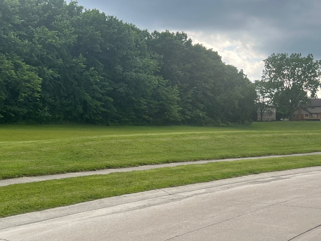 walking near me in North Glen Park in summer