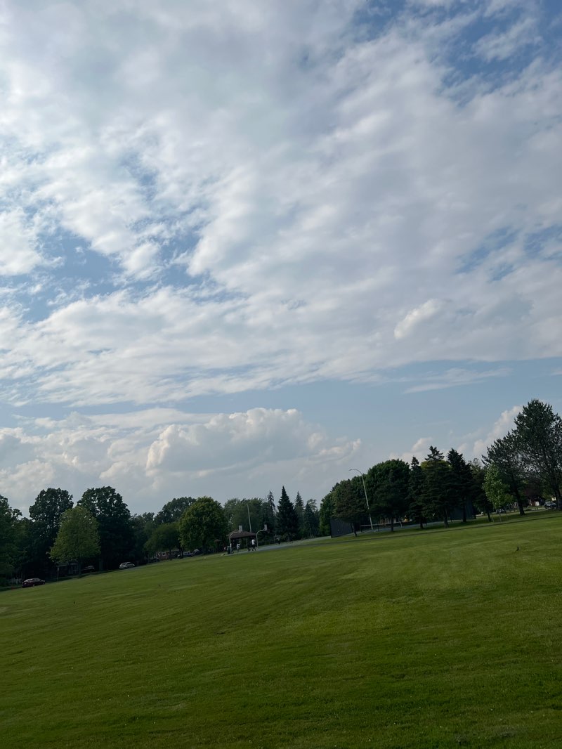 walking near me in Simms Park in summer