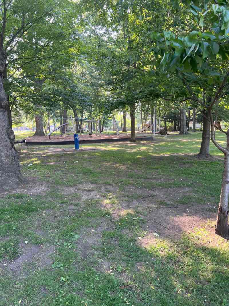 walking near me in Parkland Park in summer