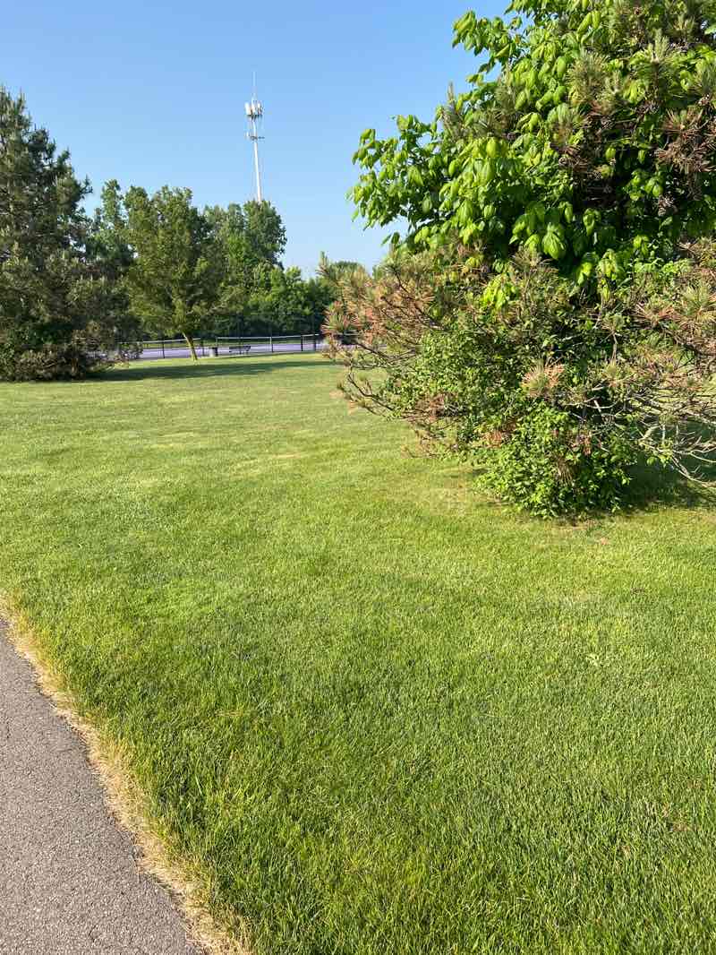 walking near me in Joseph E. Delia Junior Park in summer