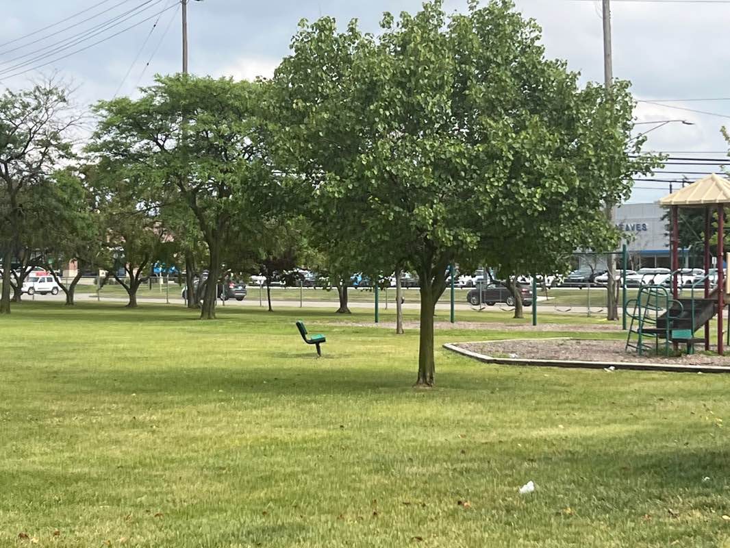 walking near me in Twelve-Sherry Park in summer