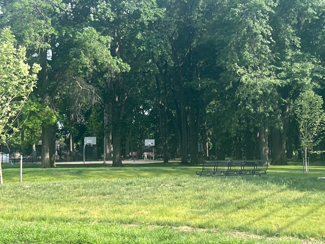 walking near me in Lockman Park in summer