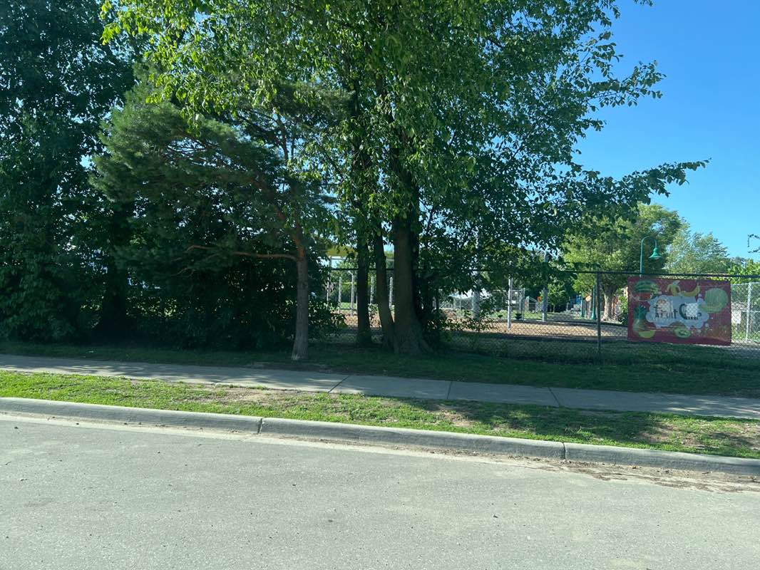 walking near me in Burton Community Park in summer